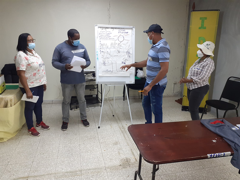 Uno de los subgrupos de participantes en el taller sobre Escuela de campo de Agricultores