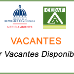 vacantes